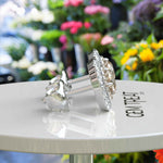 Load image into Gallery viewer, Golden Twilight: Champagne Moissanite Encased in Double Halo Stud Earrings