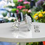 Load image into Gallery viewer, Celestial Glow: Colorless Moissanite Round Stud Earrings with Double Halo.