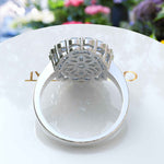 Load image into Gallery viewer, Stunning Oval Blue Moissanite Surrounded by Glistening Double Halo Ring