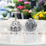 Load image into Gallery viewer, Mystic Radiance: Timeless Round Gray Moissanite Stud Earrings
