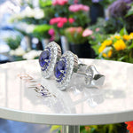 Load image into Gallery viewer, Twice the Gleam: Blue Sapphire Stud Earrings with Double Halo Design
