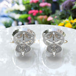 Load image into Gallery viewer, Golden Twilight: Champagne Moissanite Encased in Double Halo Stud Earrings
